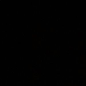 Meet your Posher, Jazzmin